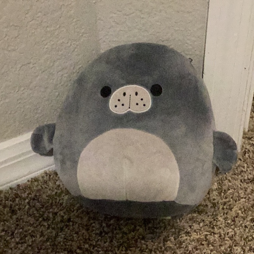 Matt 8 inch Squishmallow (manatee)